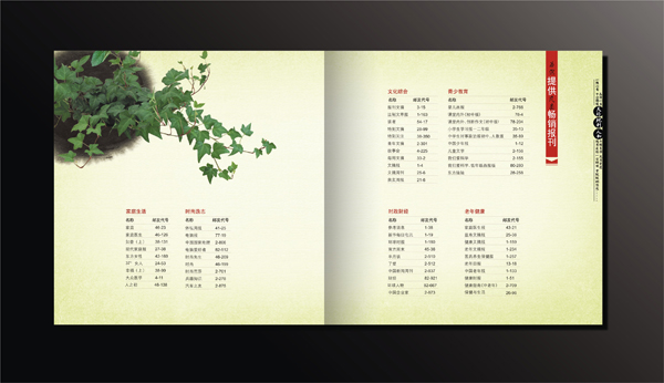 政府企業(yè)畫冊(cè)宣傳設(shè)計(jì)