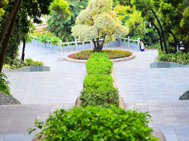 平面設(shè)計(jì),深圳標(biāo)志設(shè)計(jì)公司
