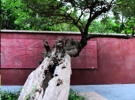 包裝設(shè)計,深圳標(biāo)志設(shè)計公司