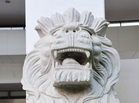 企業(yè)形象設(shè)計,深圳商標(biāo)設(shè)計公司,企業(yè)標(biāo)志設(shè)計