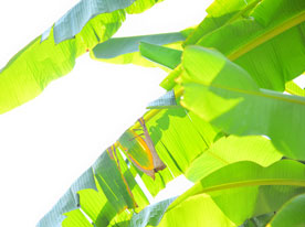 品牌設(shè)計(jì),深圳標(biāo)志設(shè)計(jì)公司,公司徽標(biāo)設(shè)計(jì)
